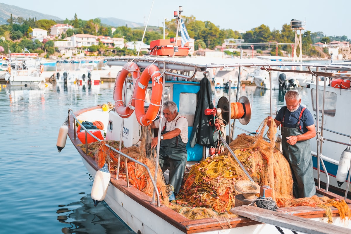 Acciughe piccolo pesce nutriente